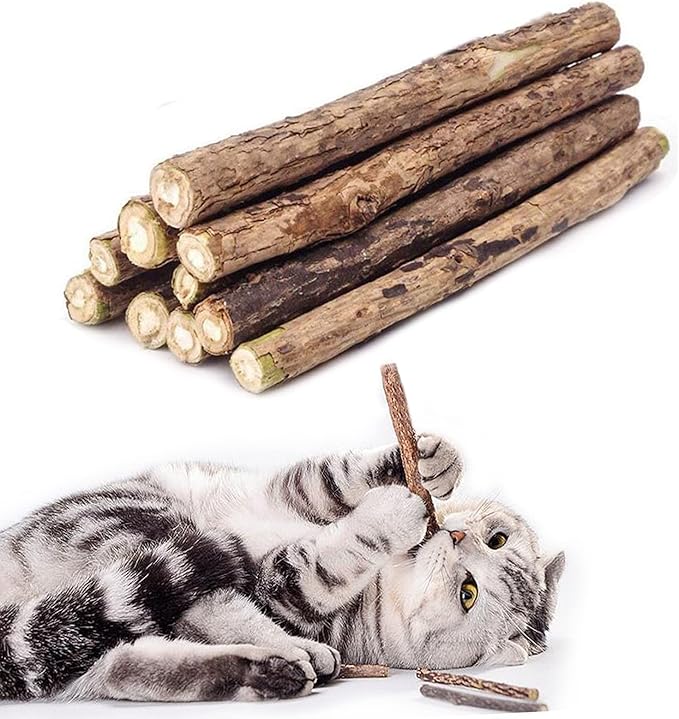 Cat Catnip Sticks Natural Matatabi Silvervine Sticks - Cleaning Teeth Molar Tools Kitten Cat Chew Toy Natural Catnip Cat Toy (10 PCS)