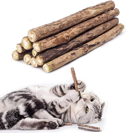 Cat Catnip Sticks Natural Matatabi Silvervine Sticks - Cleaning Teeth Molar Tools Kitten Cat Chew Toy Natural Catnip Cat Toy (10 PCS)