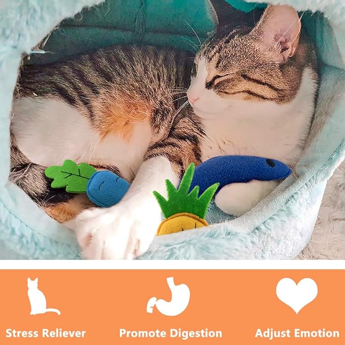 Catnip Toys for Indoor Cats, Natural Catnip Kitten Toys Cat Toys Set