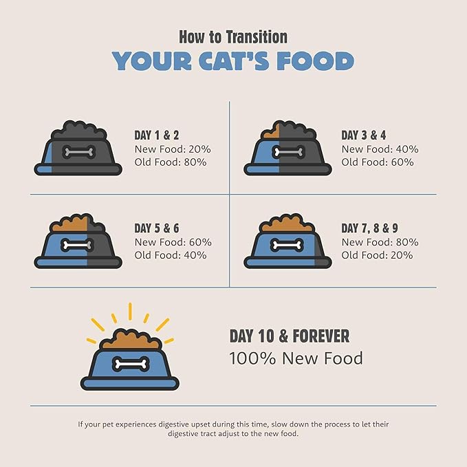 Range Rotisserie, Dry Cat Food, Chicken Meal and Turkey Meal Adult Recipe with Grains, 12 lb Bag