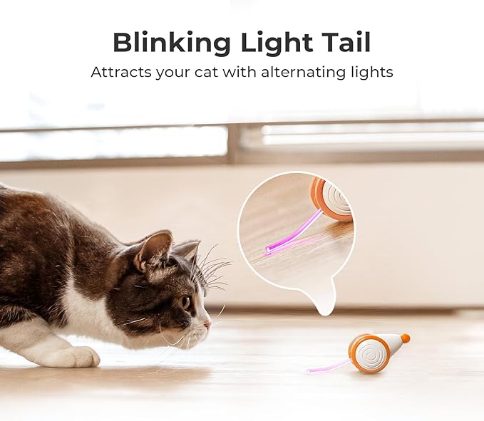 Cheerble Interactive Cat Toys for Indoor Cats, Automatic Cat Toy with LED Lights, Wicked Mouse Toys, Kitten Toys, Pet Toys, Smart Electric Cat Toy, USB Rechargeable, Auto On/Off… (Yellow)