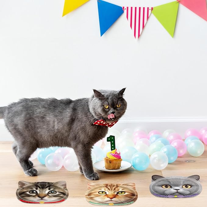 48 PCS Cat Birthday Party Decorations Cat Birthday Paper Plates Cat Theme Disposable Pet Party Plates for Kids Baby Shower Cat Party Supplies Serves 48