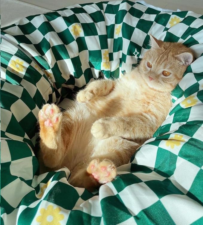 Premium Design Patent, Suitable for Multiple Cats to use at Once, Including cat Toys, cat Tunnel, cat mat, cat Tunnel Bed – Suitable for Small, Medium, and Large Cats. Cat Playground._Beige