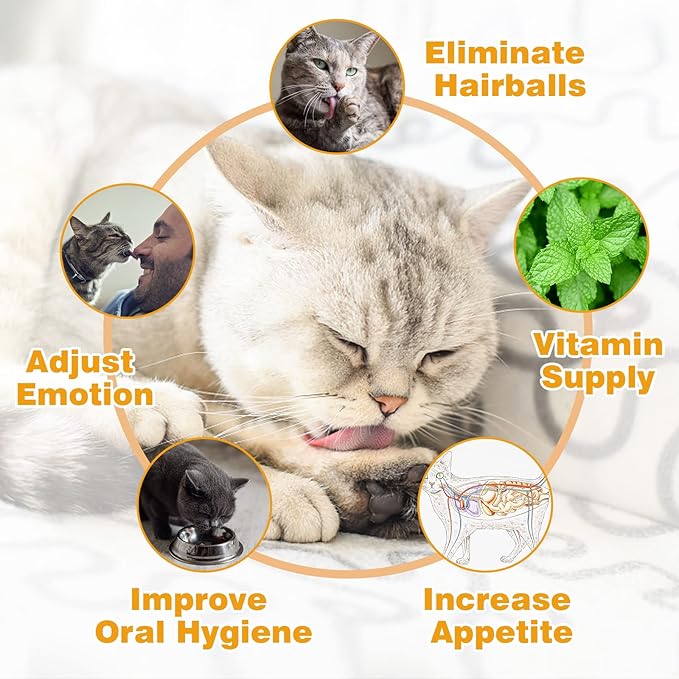 Catnip Ball for Cats Wall, 4 Pack, Silvervine Balls, Edible Toys, Lick Safe Healthy Kitten Chew & Teeth Cleaning Dental Toys, Wall Treats (Grey)