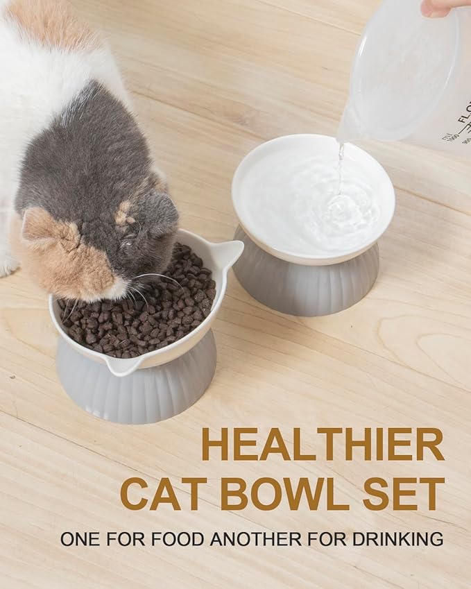2 Ceramic Raised Cat Food Bowls, Elevated Cat Food and Water Bowl Set, Pet Bowl for Indoor Cats and Small Dogs, Anti-Vomiting Cat Dog Feeder with Plastic Base, Dishwasher Safe, Grey…