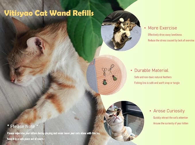 Cat Insect Feather Toys Replacement - 2 Pcs Handmade Natural Flies - Cat Toy Wand Refills - Interactive Kitten Teaser Wand Attachments - Cat Toys for Indoor Cats Play