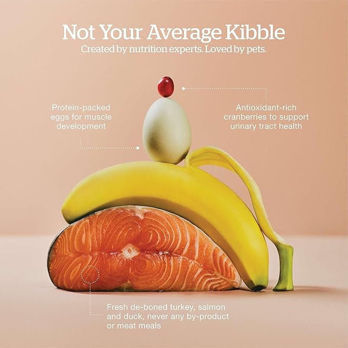 Now Fresh Grain-Free, Dry Cat Food, Turkey, Salmon and Duck Kibble, Real Meat and Fish Adult Recipe, 8 lb Bag