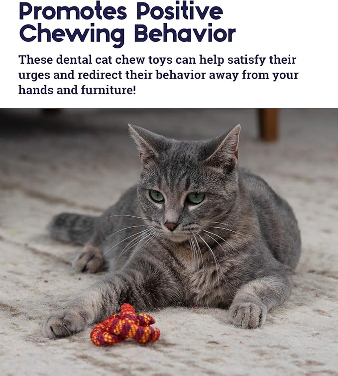 Catstages Catnip Plaque Away Pretzel Dental Cat Chew Toy