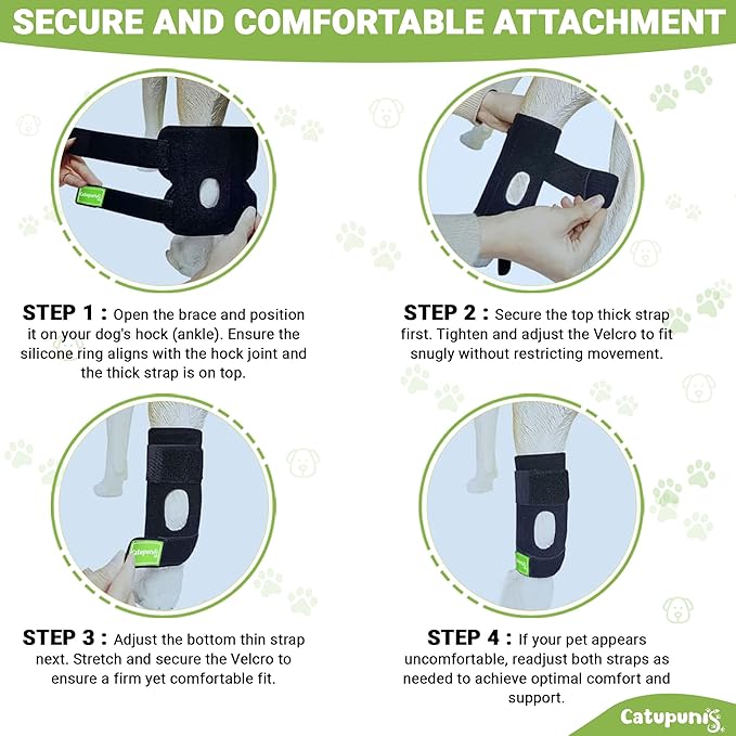 2PCS Dog Braces for Back Leg for Support. Dog Arthritis Brace. Hind Leg Support for Dogs. Leg Brace for Dogs Back Leg. Dog Leg Brace. Dog Back Leg Support Brace. Dog Hock Brace Rear Leg (L)