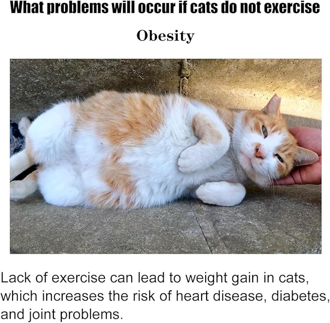 Interactive Cat Toy for Indoor Adult Cats, Cat Ball Track Tower, Feather Toys for Indoor Cats,Mouse cat Toys (Blue)