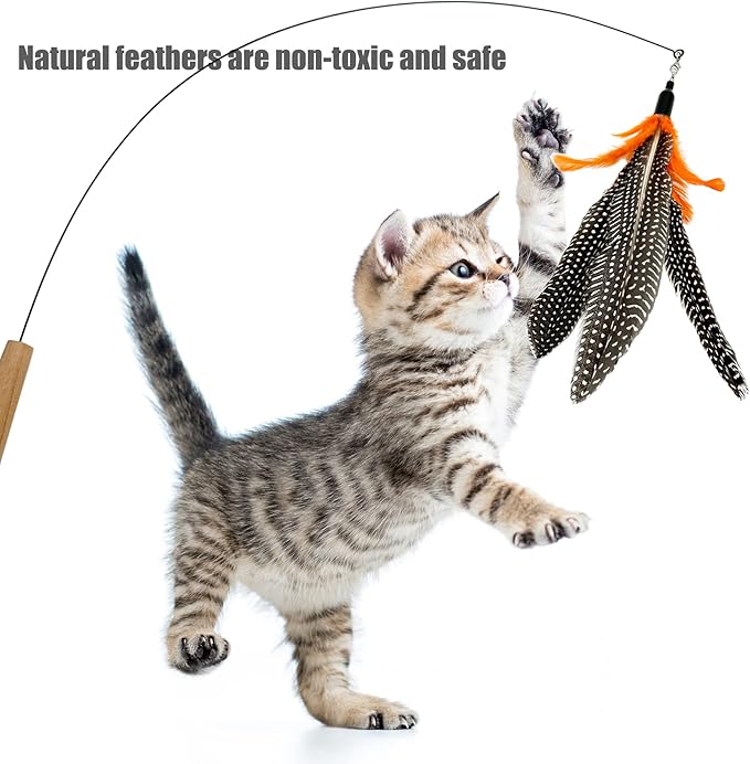 Cat Feather Toys Refills Cat Wand Replacement Feathers, 6 PCS Natural Da Bird Feather Refills, Cat Toy Wand Feathers for Indoor Cats