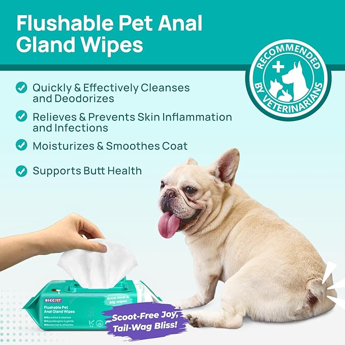 HICC PET Wipes for Dogs & Cats, Cleansing Deodorizing & Soothing Allergy Infections Anal Gland Pets Wipes with Coconut Oil - Dog Grooming Wipes for Butt and Paw - Hypoallergenic & Vet Recommended