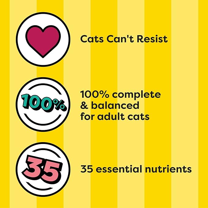 GYCO Seafood Medley Flavor Dry Cat Food, 3.15 Lb Bag - Made with Protein That Helps Support Strong and Healthy Muscles.