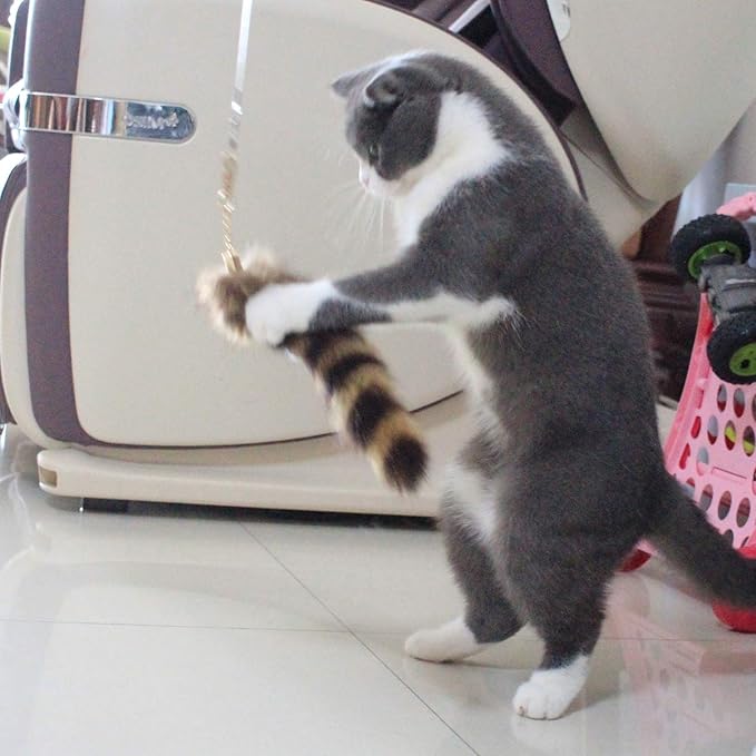 Fosrion Real Raccoon Tail Fur Cat Bites Toy with Three Section Retractable Carbon Fiber Rod (Raccoon, Tail & Fishing Rod)