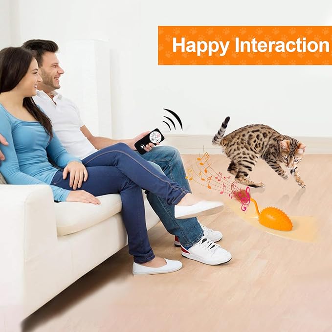 BABORUI Upgraded Cat Interactive Toy, Remote Control Mouse Toy, Automatic Cat Mouse Toys with Feathers, Moving Smart Cat Toy Car for Indoor Cats, USB Rechargeable