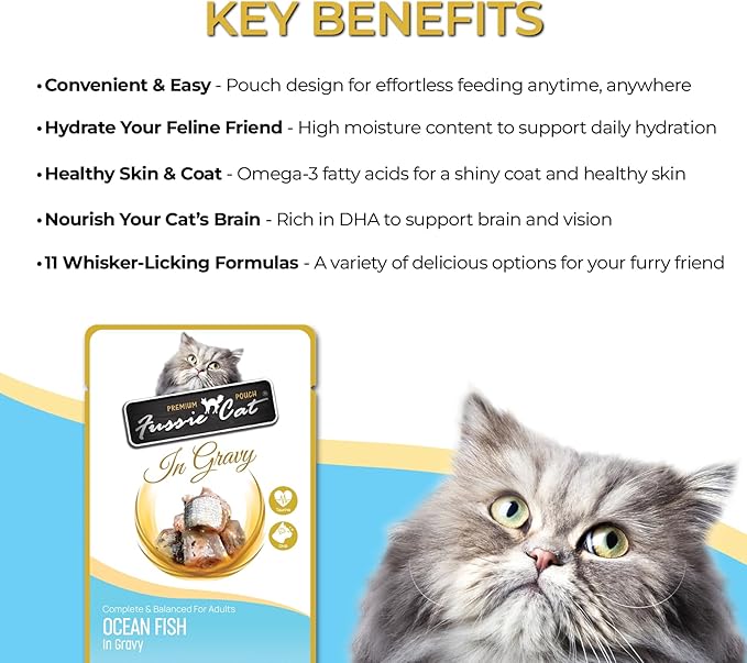 Fussie cat Premium Ocean Fish in Gravy, 2.4 Oz (Pack of 12)