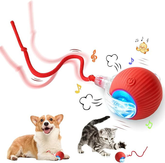 Interactive Cat Toy - Cat Toys for Indoor Cats Smart Silicone Rolling Ball with Tail,Bird Sound,Obstacle Avoidance and Motion Activated,Kitten Puzzle Toys for Bored Indoor Adult Cats & Dogs (Red)