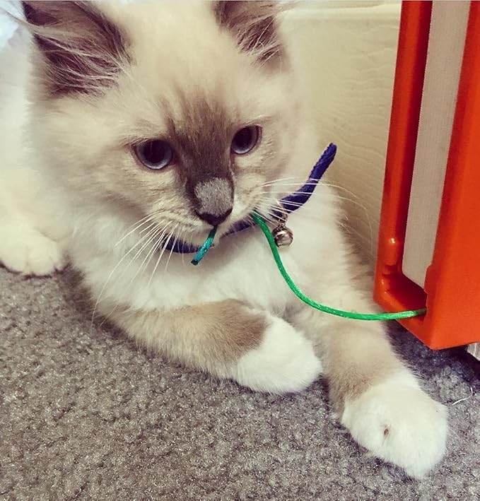 Fling-AMA-String Cat Toy