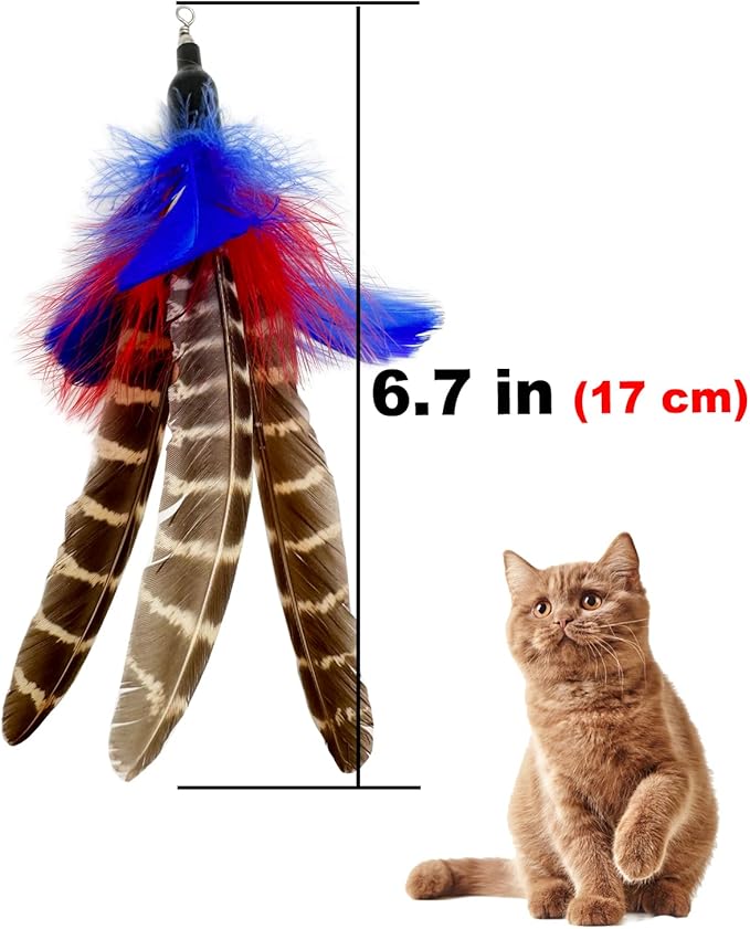 Cat Feather Toys Refills Cat Wand Replacement, 6 PCS Handmade Natural Da Bird Feathers Refill, Cat Toy Feather Replacement for Indoor Cats (A)