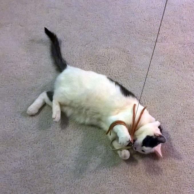 Ribbon, Leather and Fur Attachment Cat Toys - Fit Wildcat and Popular Bird and Catcher Type Wands/Poles (Leather Tassels)