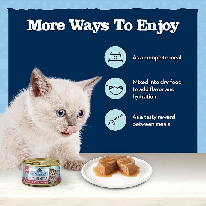 Blue Buffalo Baby Blue Natural Grain-Free Wet Food for Kittens, Healthy Growth Formula with DHA, High-Protein Salmon Paté, 3 oz Can
