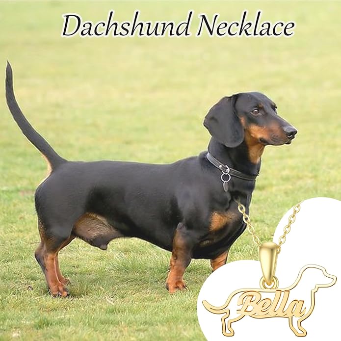 925 Sterling Sliver Yorkshire/Corgi/Labrador/Pug/Bulldog/Paw Print/Cross Necklace Cute Puppy Dog Necklace Jewelry Birthday Gifts for Women Girls Dog Lovers