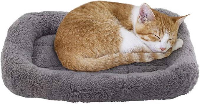 lesypet Cat Beds for Indoor Cats, 15" x 10" Small Cat Bed Curl Sleep Plush Cushion with Pillow, Non-Slip Bottom Washable Mat for Small Pet Puppy Rabbit, Small