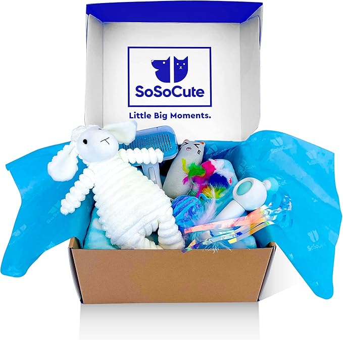 Cat Toys Welcome Blue Gift Set of 8 - Box, Catnip Kitten Toys, Cat Chew Toy, Interactive Feather and String Teaser Wand, Yarn Ball, Squeaky Toy, Cat Hair Brush and Blanket