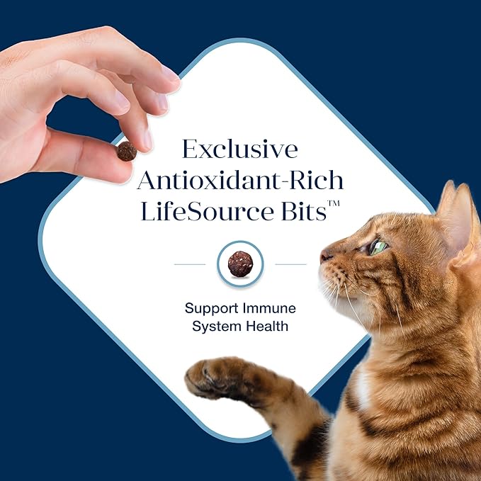 Blue Buffalo Basics Grain-Free Dry Cat Food, Skin & Stomach Care, Limited Ingredient Diet for Indoor Cats, Fish & Potato Recipe, 11-lb. Bag