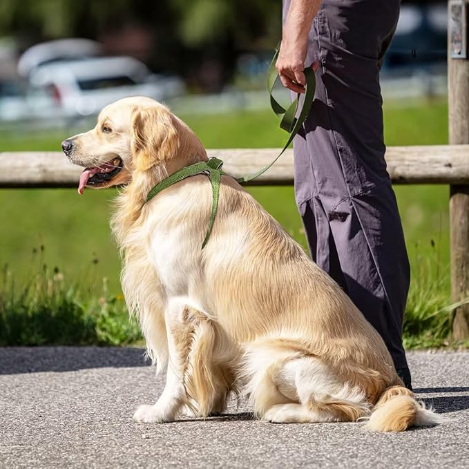 Cat Harness for Walking Escape Proof Linen Fabric Adjustable Pet Vest Harness Comfortable Soft Lightweight Harness for Cats and Dogs Green M