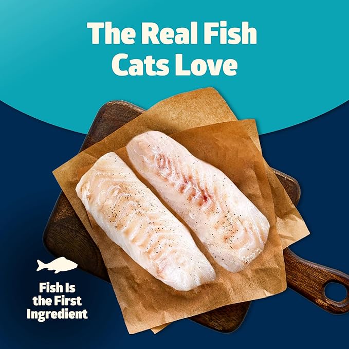 Blue Buffalo Freedom Grain-Free Adult Wet Cat Food, Complete & Balanced Nutrition for Indoor Cats, Made with Natural Ingredients, Fish Recipe, 5.5-oz Cans (24 Count)