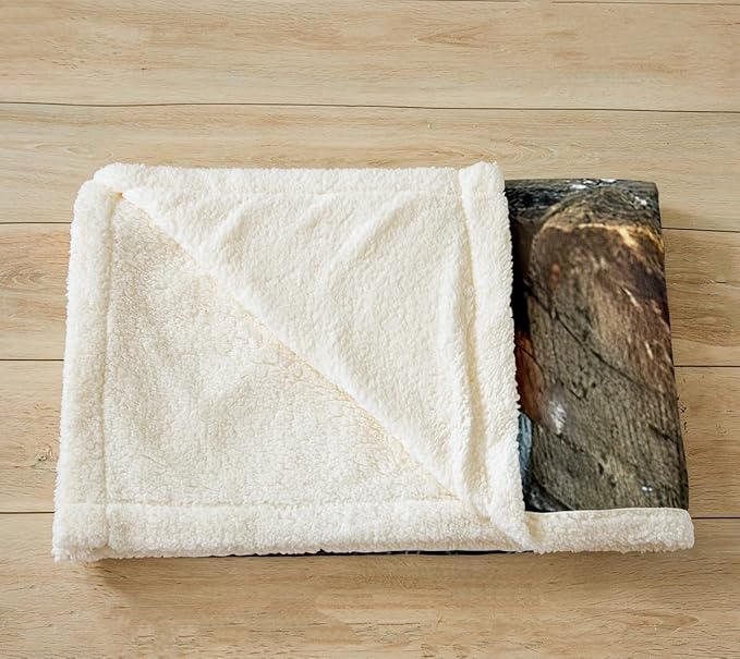 Feelyou Kids Throw Blanket Boys Girls Squirrel Sherpa Blanket Cute Wild Animal Fleece Blanket Lovely Wildlife Decor Fuzzy Blanket for Bed Chair Sofa Couch Super Soft Plush Fuzzy BlanketTwin 60"x80"