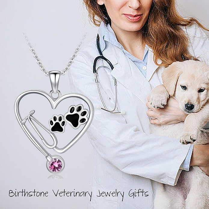 Birthstone Veterinary Stethoscope Necklace 925 Sterling Silver Nurse Vet Pendant with Dog Paw Nurse Jewelry Gifts for Veterinarian Nurse Women Veterinarian Gifts