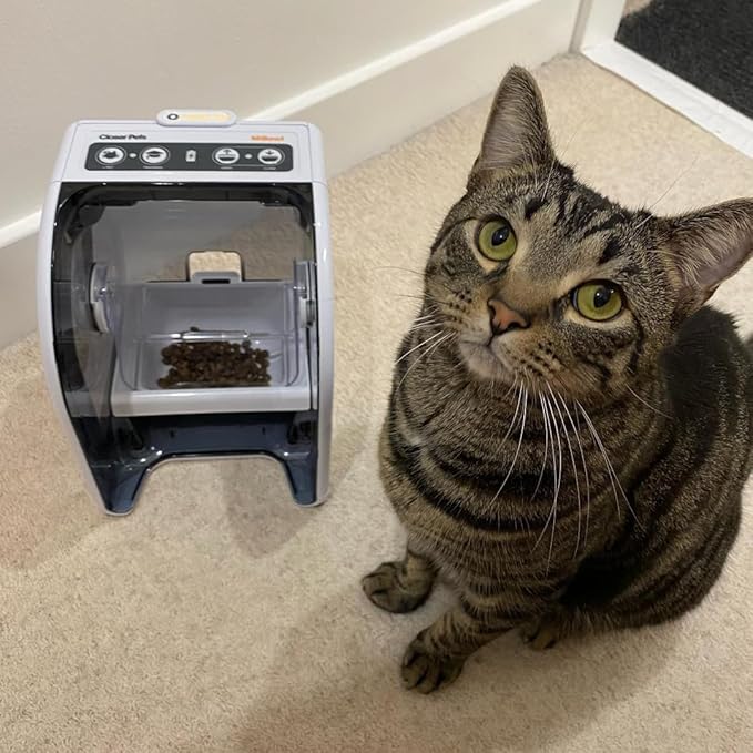 MiBowl Microchip Pet Feeder with Included ID Disc - for Cats and Small Dogs - BPA-Free Bowl and Enclosed Back