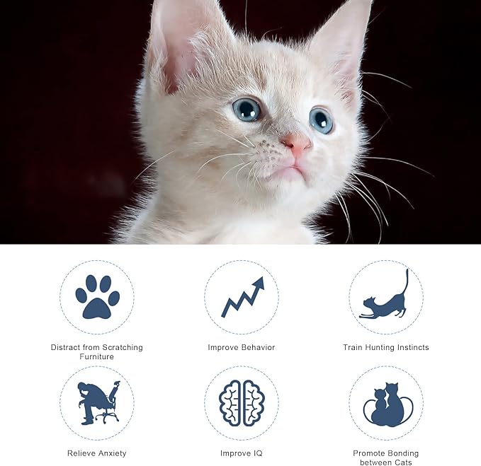 AIEX Cat Teaser Toy, Cat Wand Toy Retractable with Silicone Collar Interactive Cat Toys Attached with Feather for Indoor Cat Kitten Exercise Training (Blue, Pink)