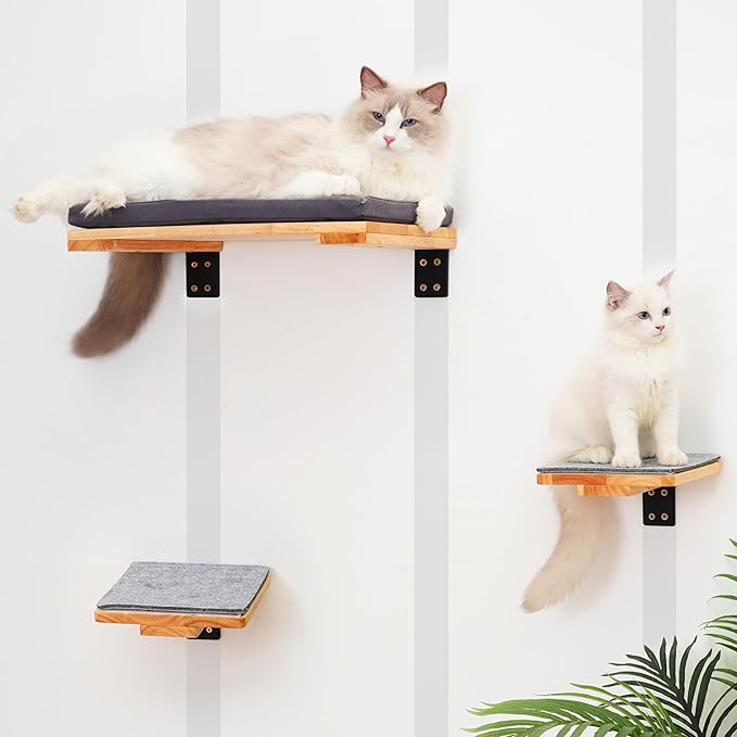 LONDON & BYRD | Wooden Cat Wall Shelves | for 16" Drywall Studs | One Large cat Shelf with Washable Bed, and Two Smaller cat perches. Solid Wood with Metal Wall Brackets.