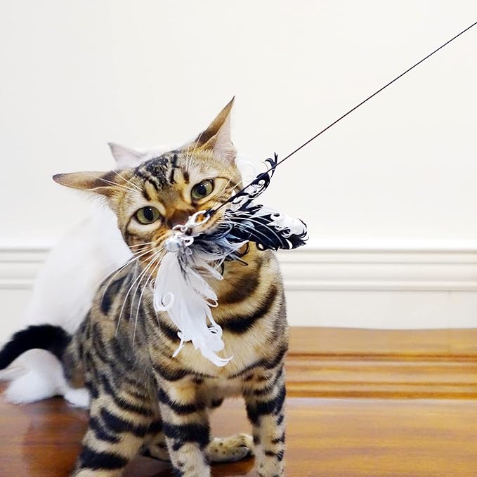 Cat Wand Toys, Interactive Bird Cat Toy Set,35'' Flexible Steel Wire and 4Pcs Cat Feather Refills,Cat Teaser Toy Cat Wand Toys for Indoor Cat and Kitten.