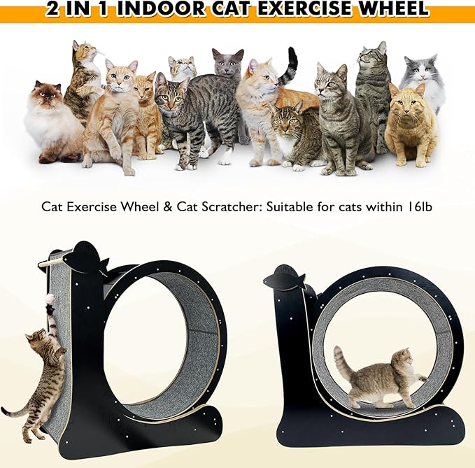 Upgraded 2 in 1 Cat Exercise Wheel，39.4" High Indoor Cat Running Wheel with Cat Scratcher, Cat Treadmill, TPE Silent Wheel, Wooden Cat Sport Exercise Wheel, Black