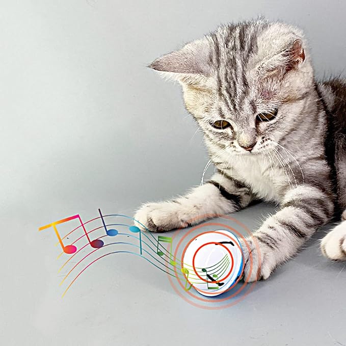 Cat Toy Balls with Bell Jingle Mental Balls for Cats Kittens Interactive Cat Toys 12 PCS Assorted Color