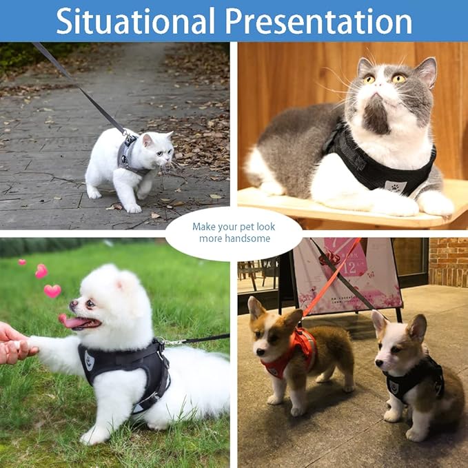 Cat and Small Dog Vest Harness and Leash Set, Mesh Harness with Reflective Strap, Step-in Adjustable Harness for Small Cats