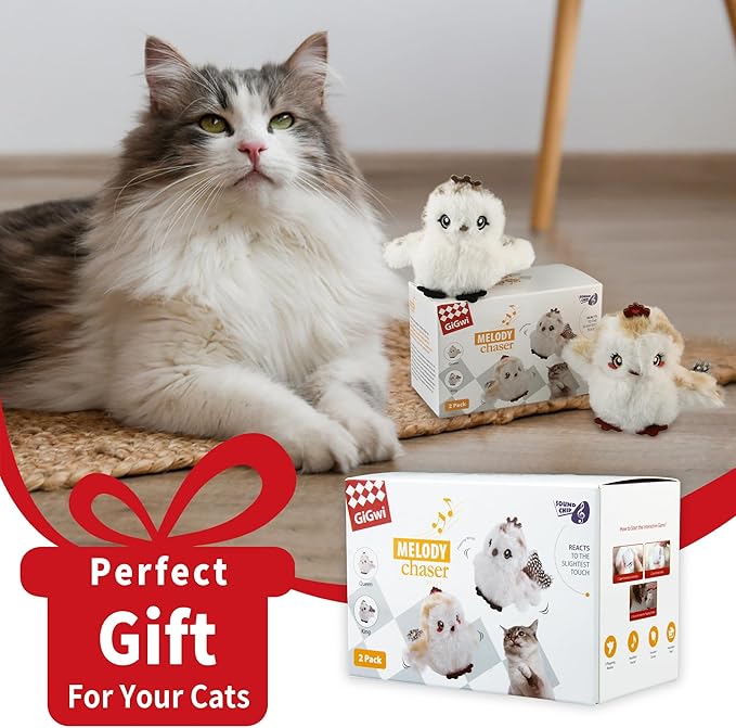 Gigwi Interactive Flapping Cat Toys Catnip, Electronic Flappy Toys Motion Activated, Automatic Cat Toys for Indoor Cats, USB Rechargeable Cat Enrichment Toy for Hunting and Kicker, Birds Couple