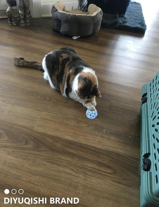 Cat Toys, 15 Pieces Set, Includes Kitten Toys, Like Plush Balls and a Mechanical Chick, Bell Balls, and Soft Toys for Indoor Cats to Play and Stay Active, Safe Materials for Hours of Fun