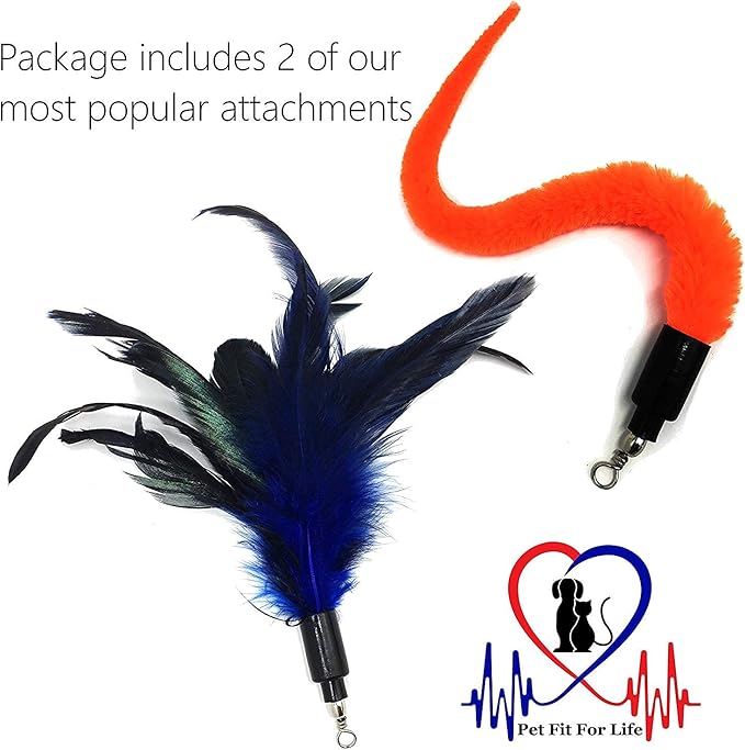 Pet Fit For Life Rechargeable Pet-Safe Combination LED Chaser and Cat Teaser Wand with Feather Toy and Interactive Squiggly Worm - Mimics Bird Chirping Sounds