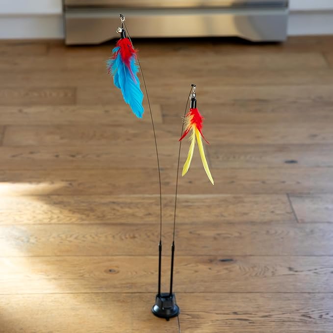 Interactive Cat Toys For Indoor Cats Cat Chew Toy Catnip Toys For Cats Suction Cup Cat Toys For Indoor Cats Cat Wand Toys For Indoor Cats Cat Toys Wand Feather Wand Cat Toy Cat Nip Toys Cat Kitten