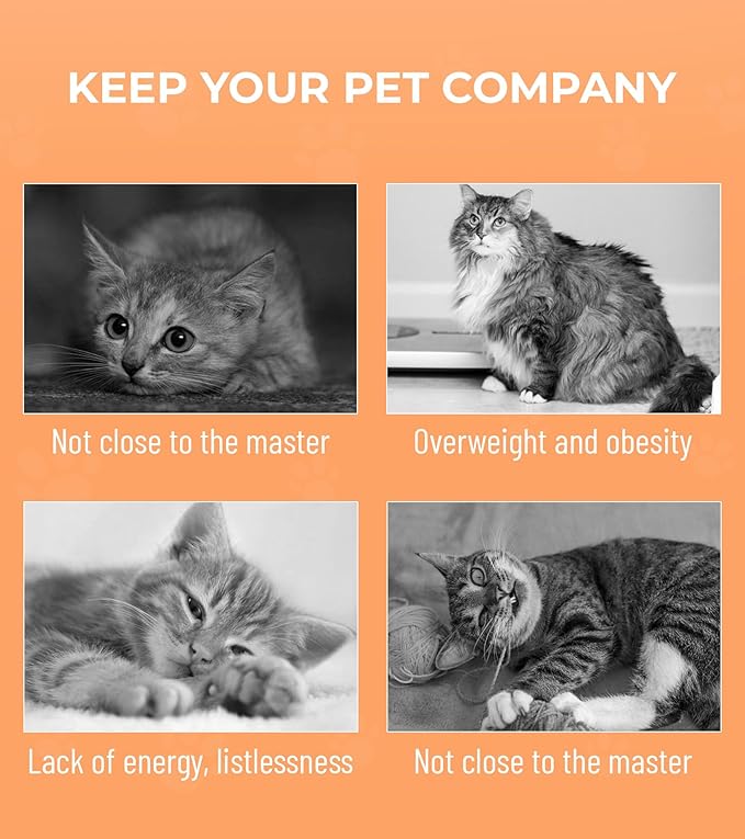 Cat Tunnel - Interactive S Type Folded Spring Toy, for Indoor Cats,Kitties, Rabbit and Small Puppy, Blue