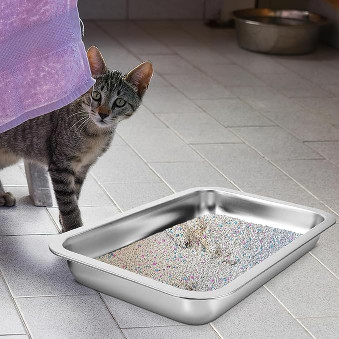 Balacoo Stainless Steel Cat Litter Box- Low Entry Litter Box for Small Cats Hamster Rabbits, Small Open Nonstick Metal Kitten Litter Tray, 31.50X21.50X4.50CM, Silver
