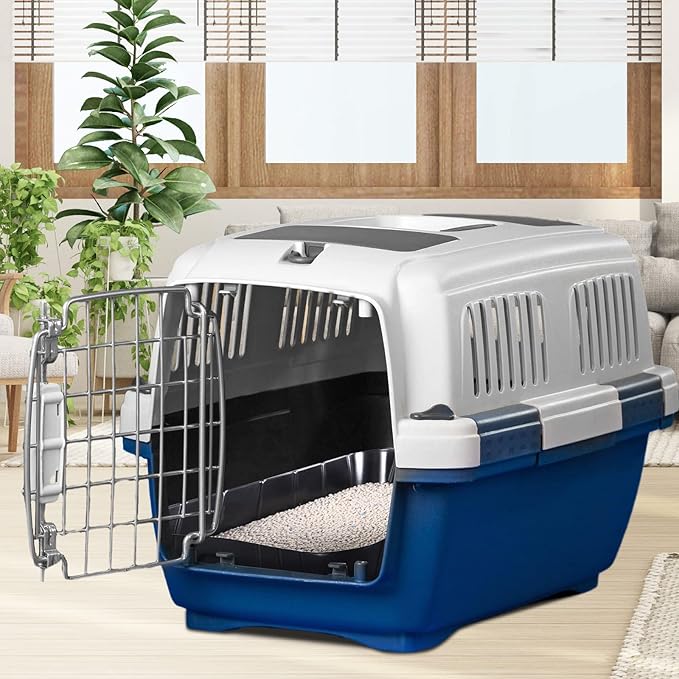 50 Pieces Disposable Litter Boxes for Cats Small Kitty Litter Box Litter Tray for Pets Plastic Litter Boxes for Indoor Cats Kitten Hamster Rabbit Guinea Pig Travel, 15.7 x 11.8 x 3 Inches, Black