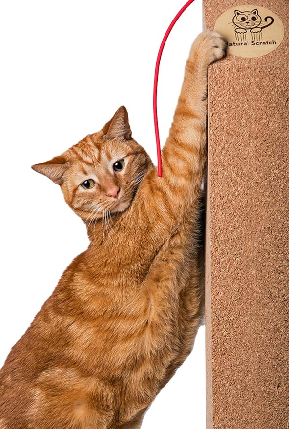 Cat Scratching Post (Cork, 32" Height)