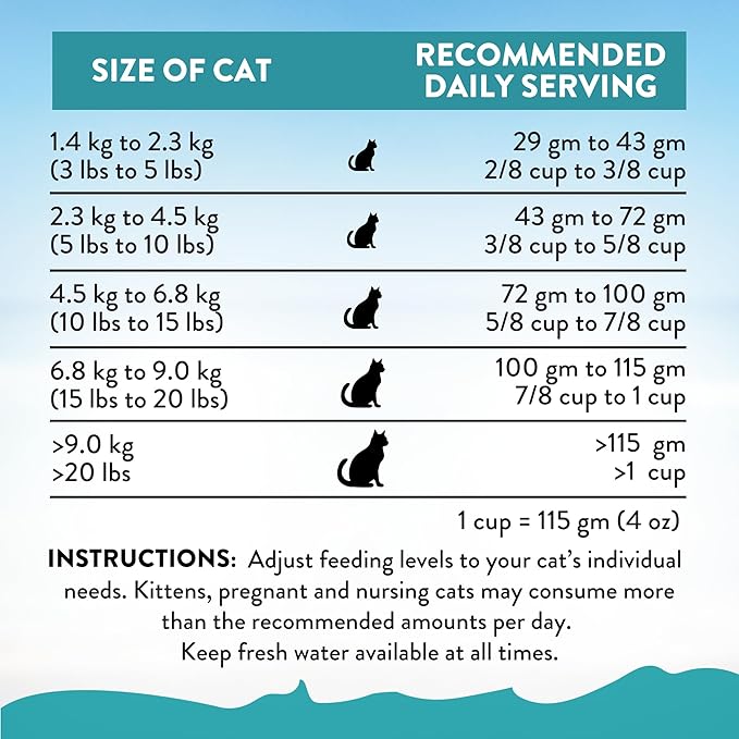 Addiction Salmon Bleu – Premium New Zealand King Salmon Recipe – Skin, Coat & Cognitive Health - Complete & Balanced - Omega-3 Rich - Grain-Free Dry Cat Food for All Life Stages – 4lbs (2 Packs)