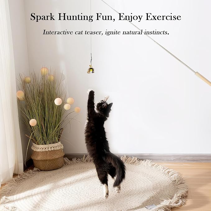 Cat Fishing Pole Toy, Cat Wand Toy,Metal Retractable Teaser Wand Fishing Rod with Wood Handle, 6 Feathers Replacement Attachments with Bells, for Kittens